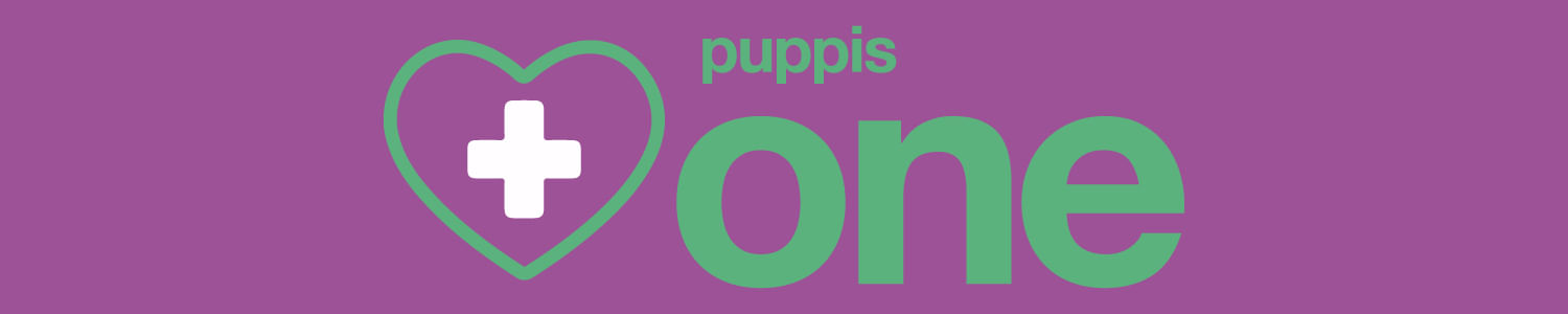 Logo Puppis ONE